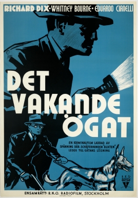 Det vakande ögat - image 1