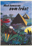 Med kameran som tröst, del 2 (2004)